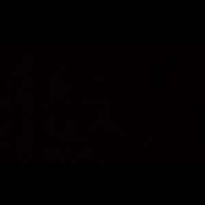 Meet your Posher, Armando